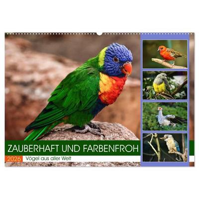 Zauberhaft und farbenfroh (Wandkalender 2026 DIN A2 quer), CALVENDO Monatskalender