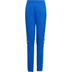 adidas Squadra 25 Trainingshose Kinder JP3154 - team royal blue/team yellow 176