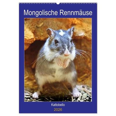 Mongolische Rennmäuse (Wandkalender 2026 DIN A2 hoch), CALVENDO Monatskalender