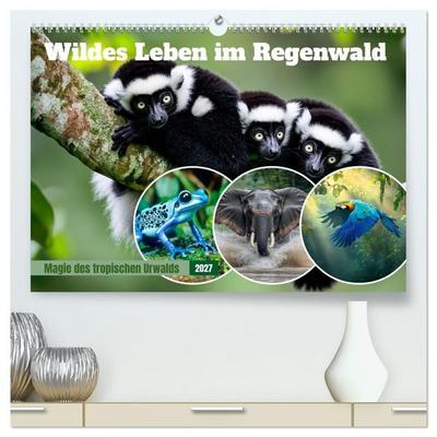 Wildes Leben im Regenwald (hochwertiger Premium Wandkalender 2027 DIN A2 quer), Kunstdruck in Hochglanz