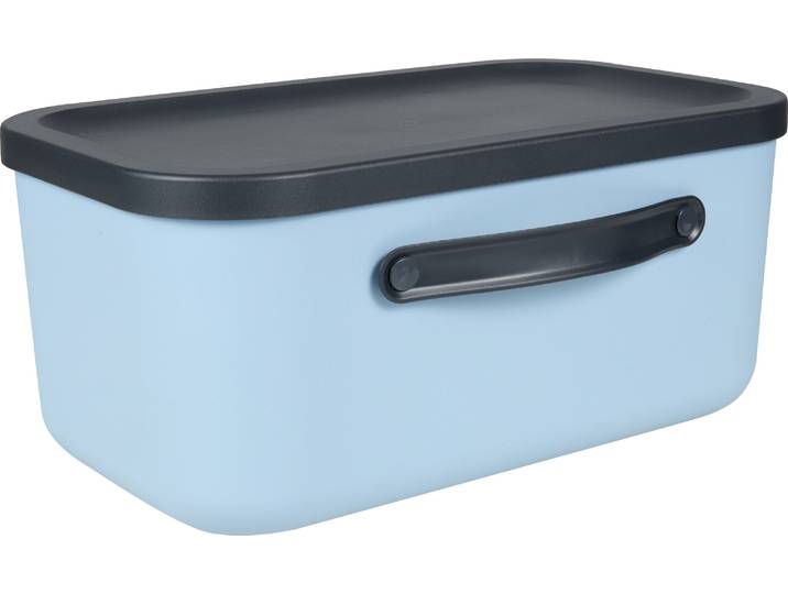 Rotho Aufbewahrungsbox mit Deckel Mythen 39.5 × 26.5 x 17.7 cm 12 l