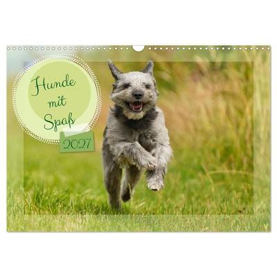 Hunde mit Spaß (Wandkalender 2027 DIN A3 quer), CALVENDO Monatskalender