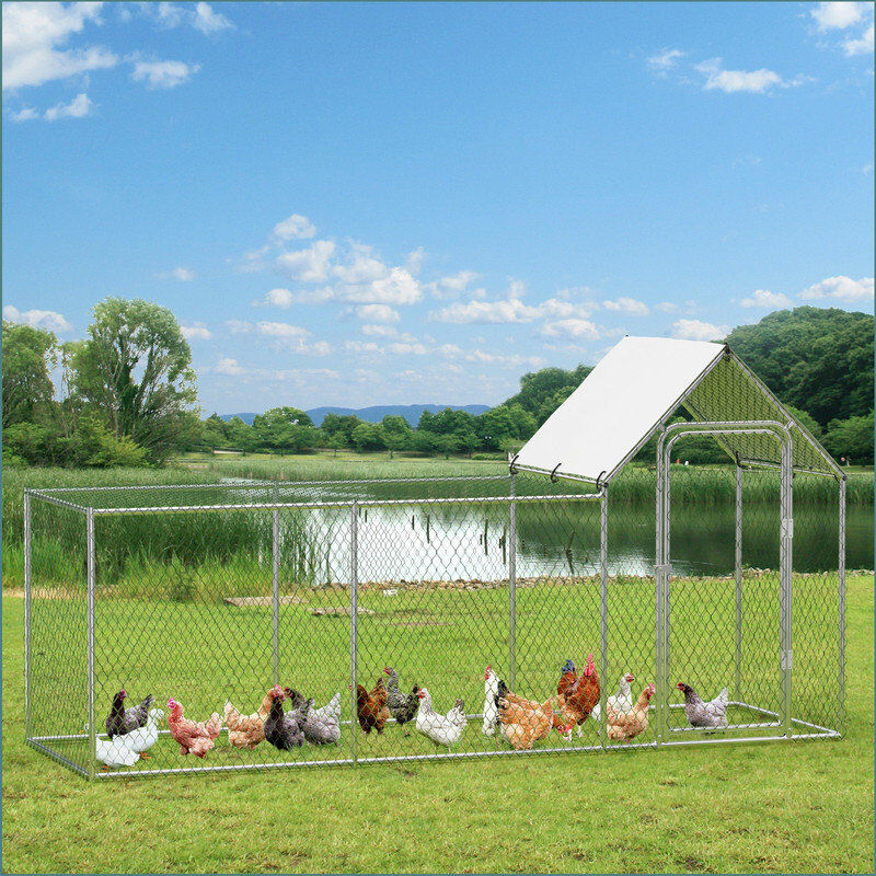 Blue Elephant Walk In Chicken Run with Wire Mesh For Up To 10 Chickens Stainless Steel