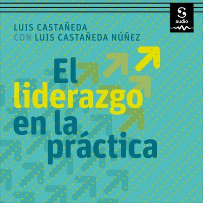El liderazgo en la práctica - Luis Castañeda,Luis Castañeda Núñez, Audio, 9781094428970