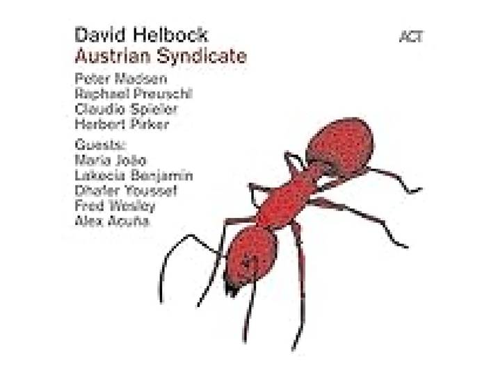 Austrian Syndicate