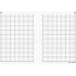 5x Simplex, Agenda, Notizen kariert Timing 2 7066451.2 93x172mm (Spezial)