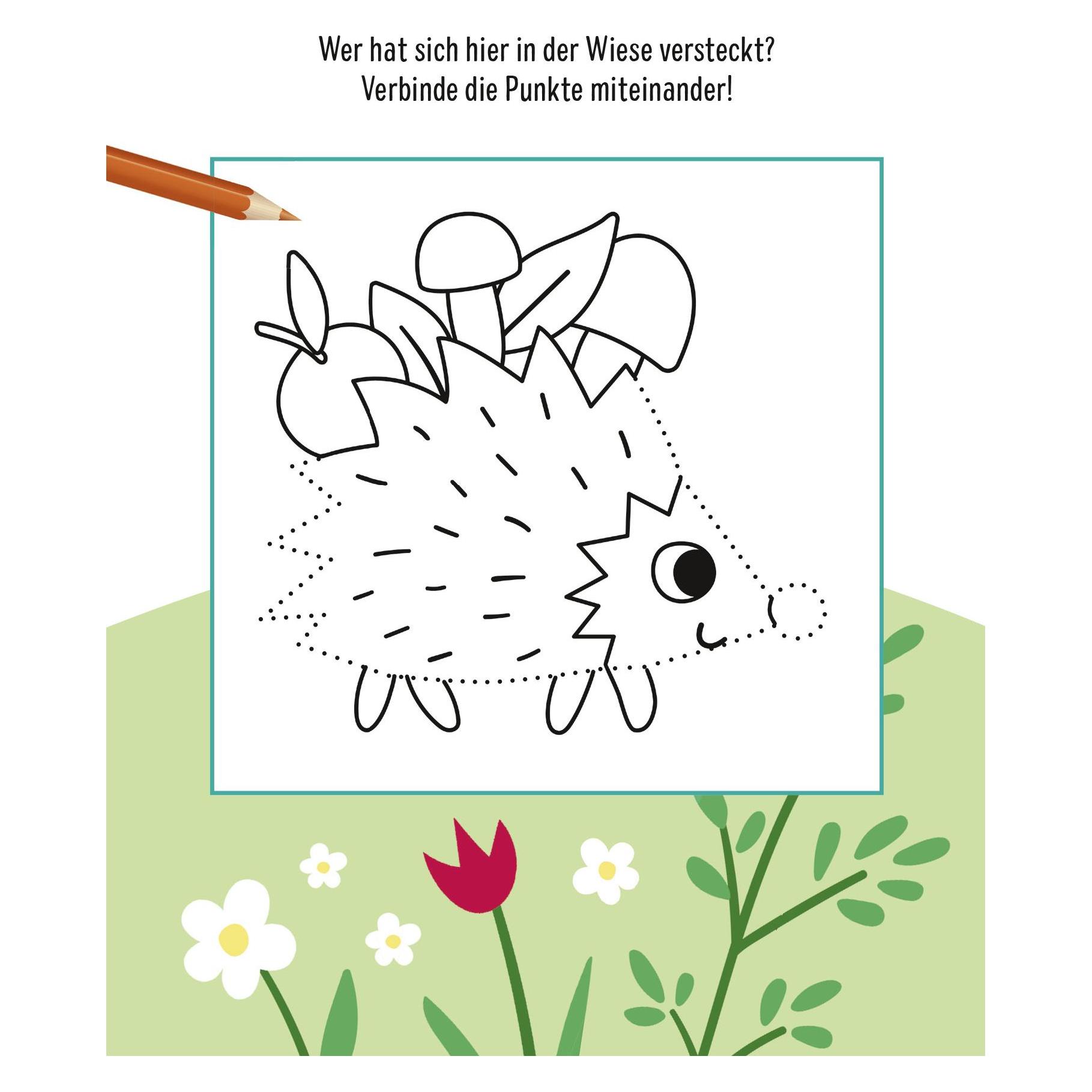Pattloch Mein lustiger Rätselspass - Abenteuer im Wald (Deutsch) (53361728)