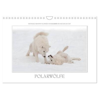 Emotionale Momente: Polarwölfe. / CH-Version (Wandkalender 2027 DIN A4 quer), CALVENDO Monatskalender