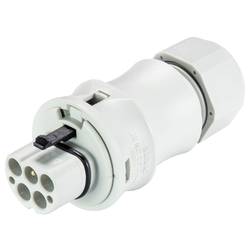 Wieland Electric 96.052.4053.0 Steckverbinder