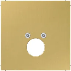 Jung Abdeckung Mess/clas ME 2962-1 C