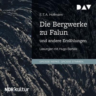 Die Bergwerke zu Falun und andere Erzählungen - E.T.A. Hoffmann, Audio, 9783742423948