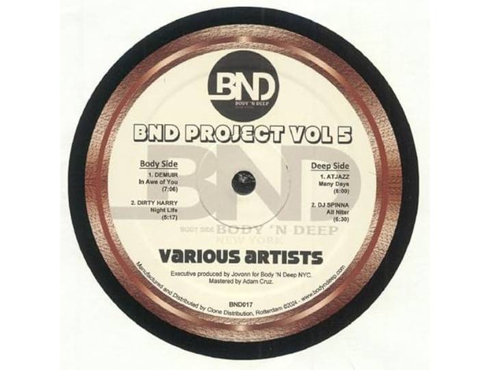 Various - Bnd Project Vol 5