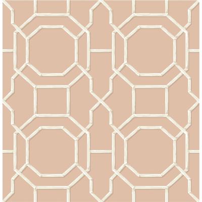 NuWallpaper Salmon Sanya Peel & Stick Vinyl Wallpaper - 216in x 20.5in x 0.025in