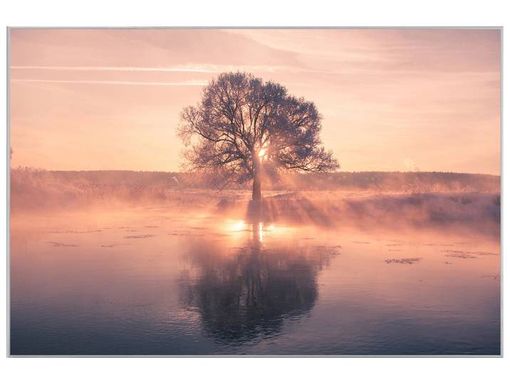 Bild mit Rahmen Baum mit Spiegelung image LAND