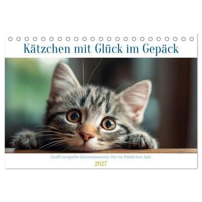 Kätzchen mit Glück im Gepäck (Tischkalender 2027 DIN A5 quer), CALVENDO Monatskalender