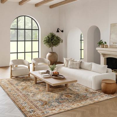 Nourison Petra Traditional Vintage Persian Area Rug