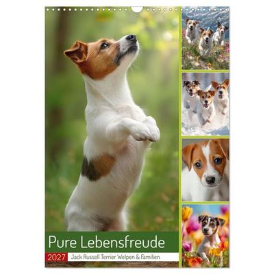 Pure Lebensfreude (Wandkalender 2027 DIN A3 hoch), CALVENDO Monatskalender