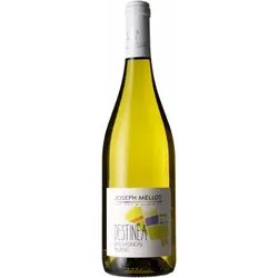 Sauvignon Blanc - Destinea 2025 - Joseph Mellot
