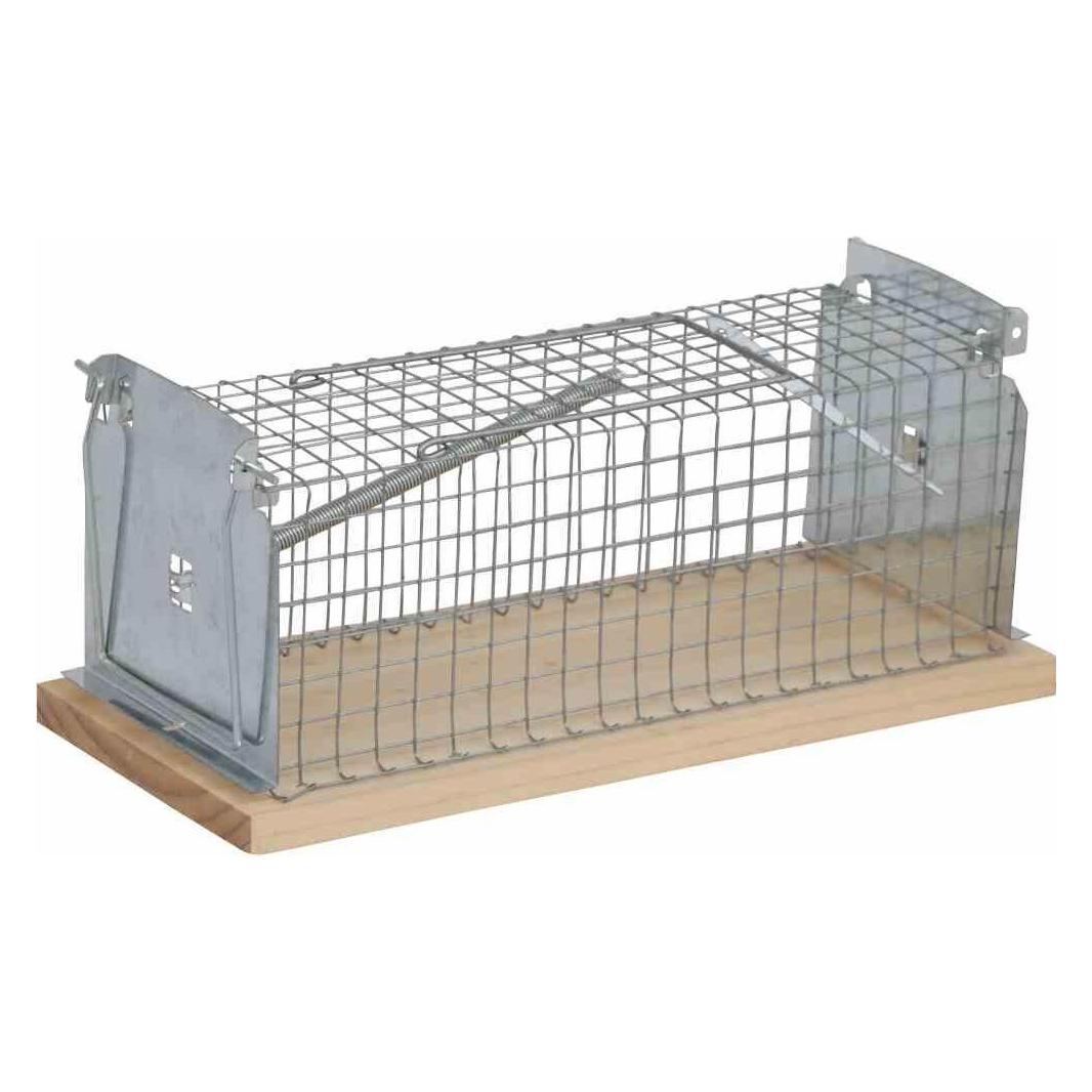 Siena Garden M03827 Drahtkastenfalle 15x6x6cm mit 1 Einlauf, grau/Natur (M03827)