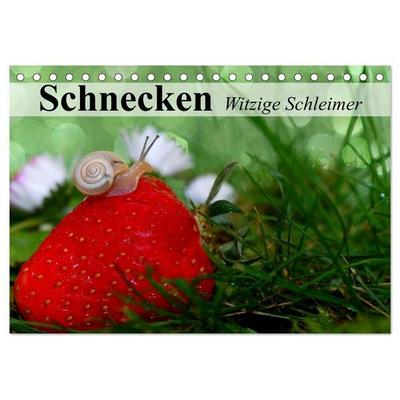 Schnecken. Witzige Schleimer (Tischkalender 2027 DIN A5 quer), CALVENDO Monatskalender