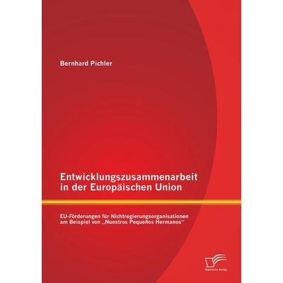 Entwicklungszusammenarbeit in der Europäischen Union: EU-Förderungen für Nichtregierungsorganisationen am Beispiel von 'Nuestros Pequeños Hermanos';