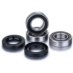 Factory Links, Kugellager, hinterradlager alle ausgestatteten motorradmodelle