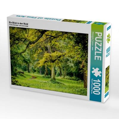 CALVENDO Puzzle Ein Blick in den Wald | 1000 Teile Lege-Größe 64x48cm Foto-Puzzle für glückliche Stunden