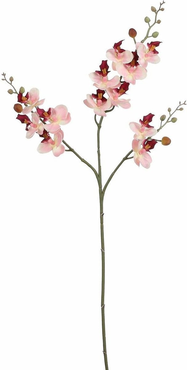Mica Decorations Kunstbloemen Orchidee tak - lichtroze - 75 cm