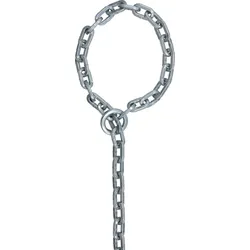 ABUS Kette KS 250 cm