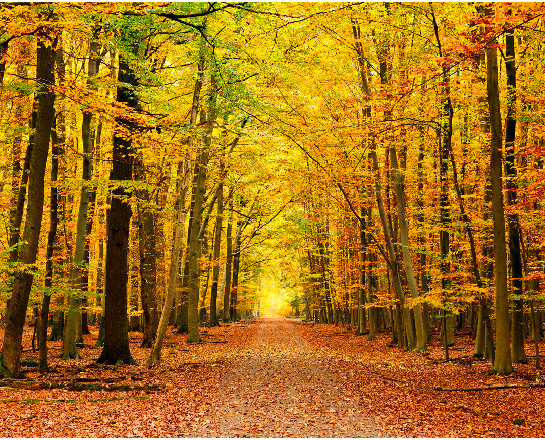 Alpen Home Mounce Matte Wall Mural Yellow/Orange/Green 280cm L x 350cm W