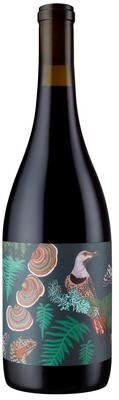 """Anne Amie""" """Anne Amie Willamette Valley Pinot Noir 2024 Red Wine - Oregon"""