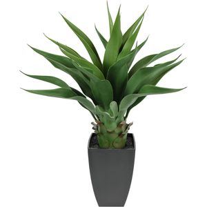 I.GE.A. Kunstpflanze Agave, im Topf, Höhe 70 cm