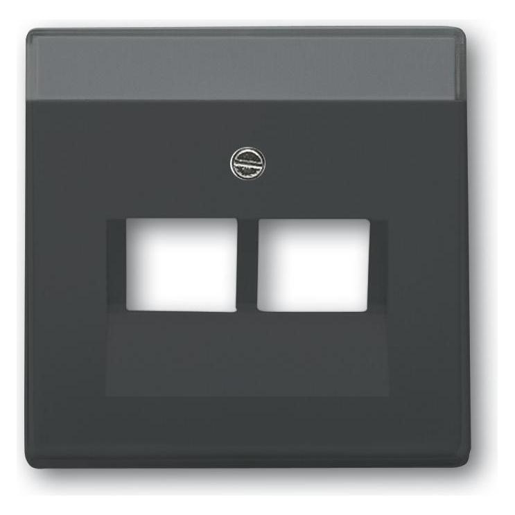 Busch-Jaeger Zentralscheibe (2CKA001710A3615)