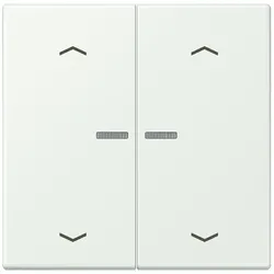 Jung Wippe mit Lichtleiter LC 102 KO5P 210