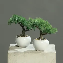 dpi Künstlicher Bonsai im weißen Keramik Topf, 38 cm, 1 Stück