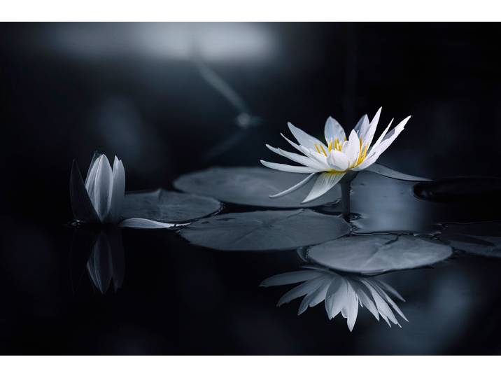 Fototapete PAPERMOON Photo-Art TAKASHI SUZUKI, BETRACHTUNG , bunt, B:2m L:1,49m, Vlies, Tapeten, Fototapete
