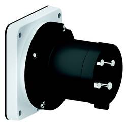 Bals Elektrotechnik 2864 2864 CEE Anbaustecker 63.0 A 4polig 500 V 1 St.