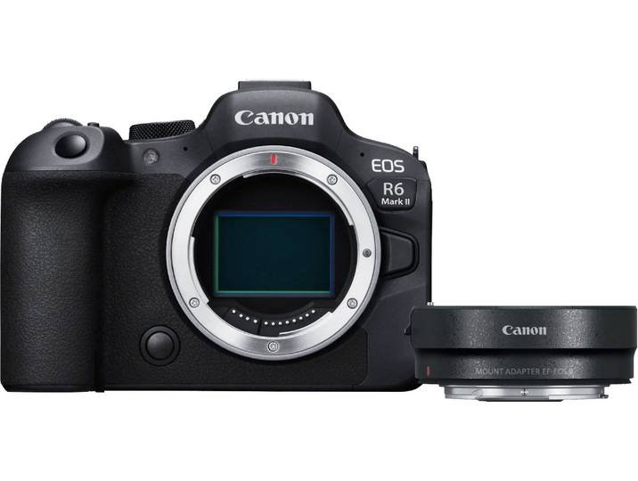 Canon EOS R6 Mark II + EF-EOS R Adapter