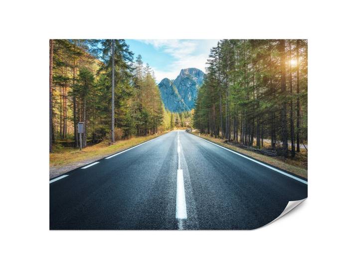 FOTOTAPETE für Wohnzimmer Asphaltstraße Bergwald Bäume Pflanzen 200x140