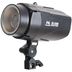 Falcon Eyes Studioblitz SS-250D (Blitzkopf, 250 Ws), Studioblitz, Schwarz