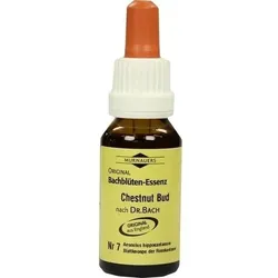 BACHBLÜTEN Murnauer Chestnut Bud Tropfen 20 ml