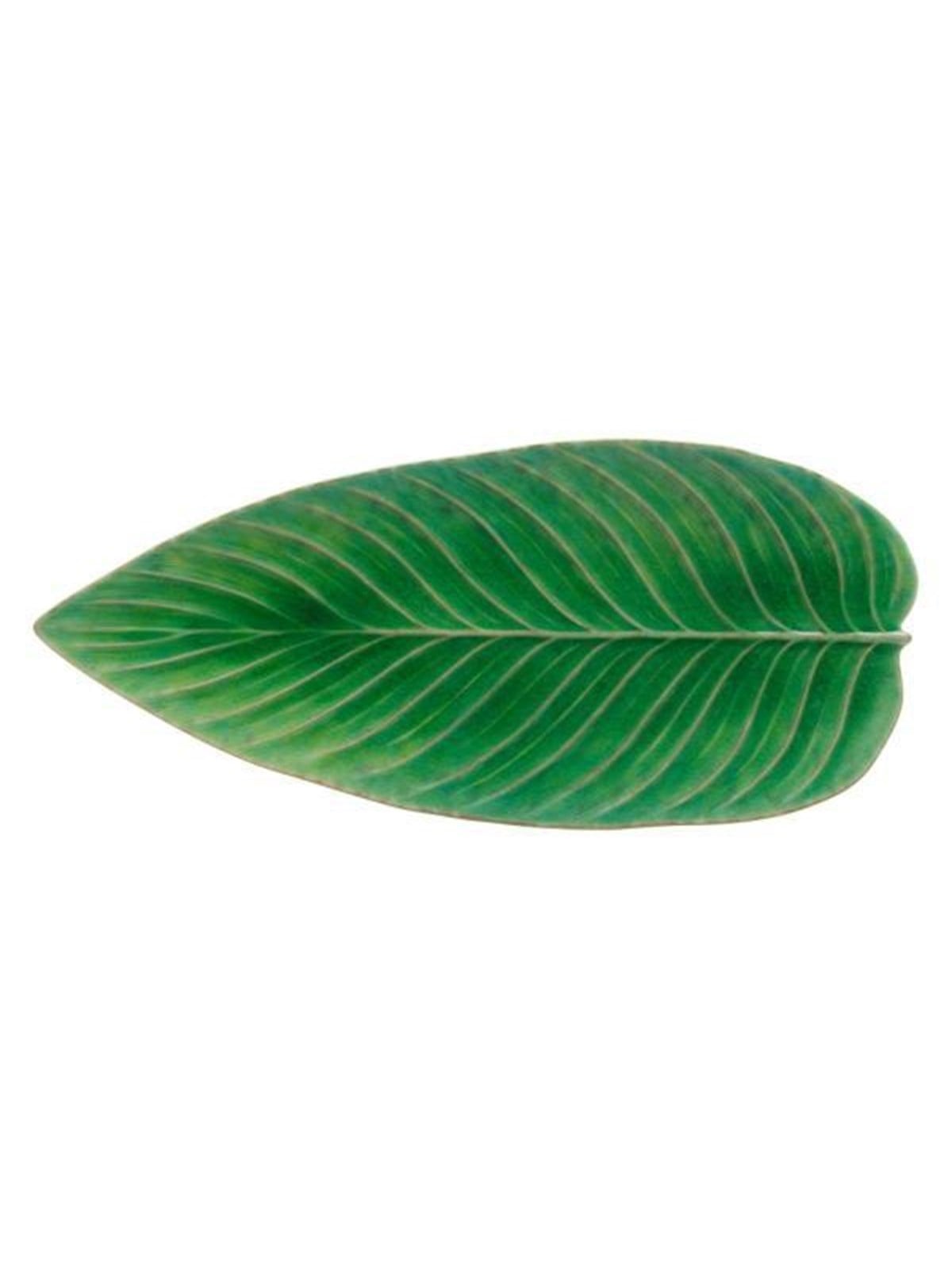 Costa Nova Serving dish oblong leaf Riviera 40 x 17 cm Green/Black