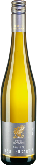 Forster Winzer Jesuitengarten Riesling Seco 2024 - 75cl