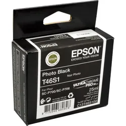 Epson Tinte C13T46S100 foto schwarz T46S1