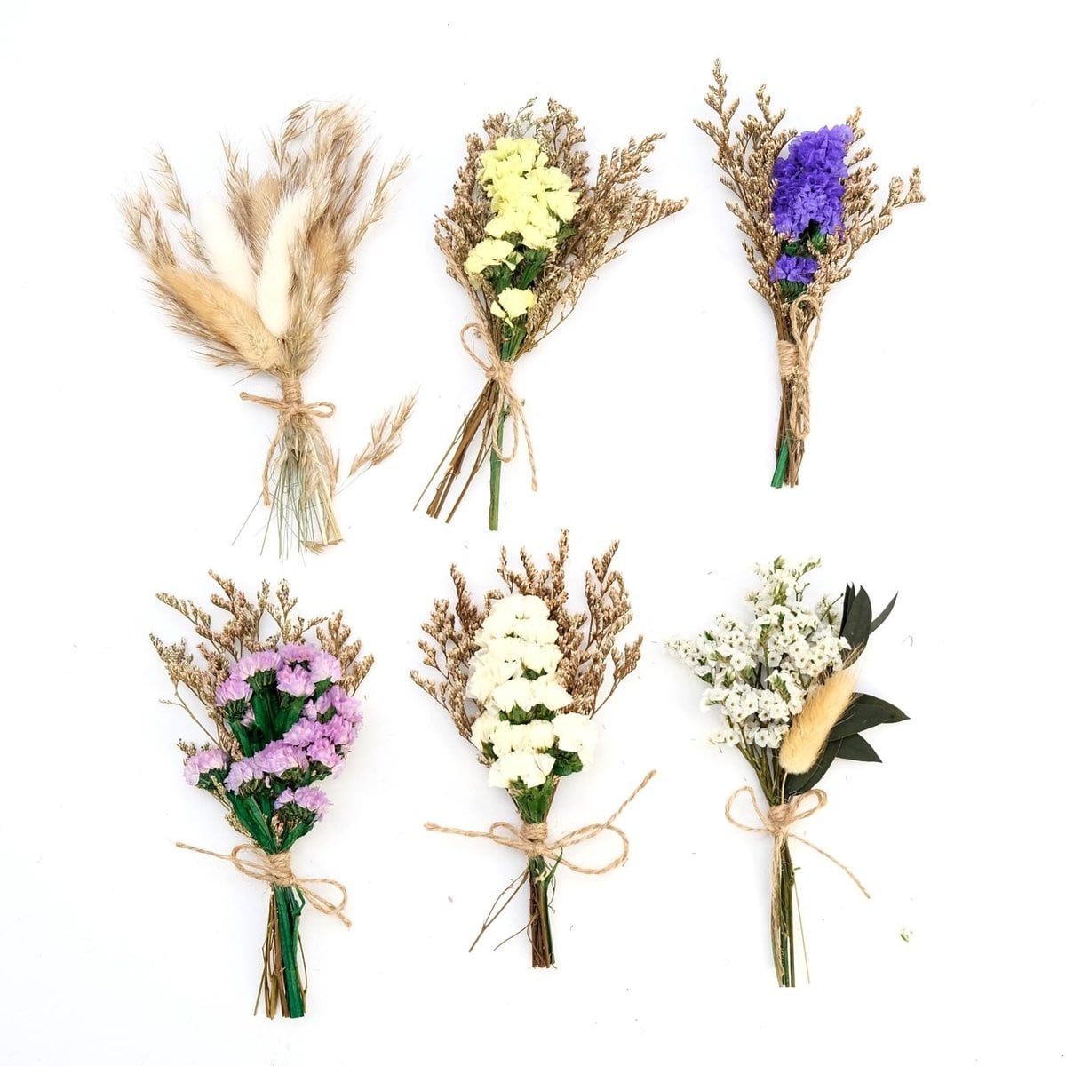 Dailygoods Mini-gedroogde bloemen, 6 bundels droogbloemen voor decoratie en handwerk