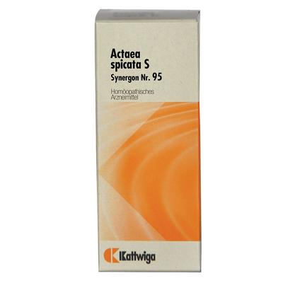 Synergon Komplex 95 Actaea spicata S Tropfen 50 ml