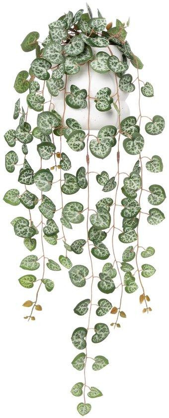 Unyqoos Kunstplant String-of-Hearts met hangende hartvormige bladeren, Groen, 58 cm