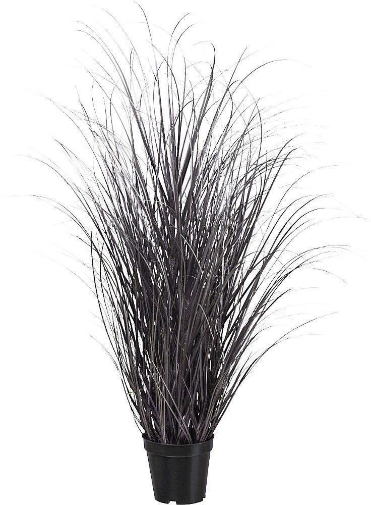 kaiserkraft Gras im Topf, Gesamthöhe 930 mm, lila / silber