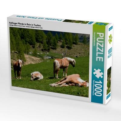 CALVENDO Puzzle Haflinger Pferde in Rein in Taufers | 1000 Teile Lege-Größe 64x48cm Foto-Puzzle für glückliche Stunden