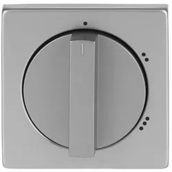 Busch-Jaeger Zentralscheibe eds 2542 DR/02-866